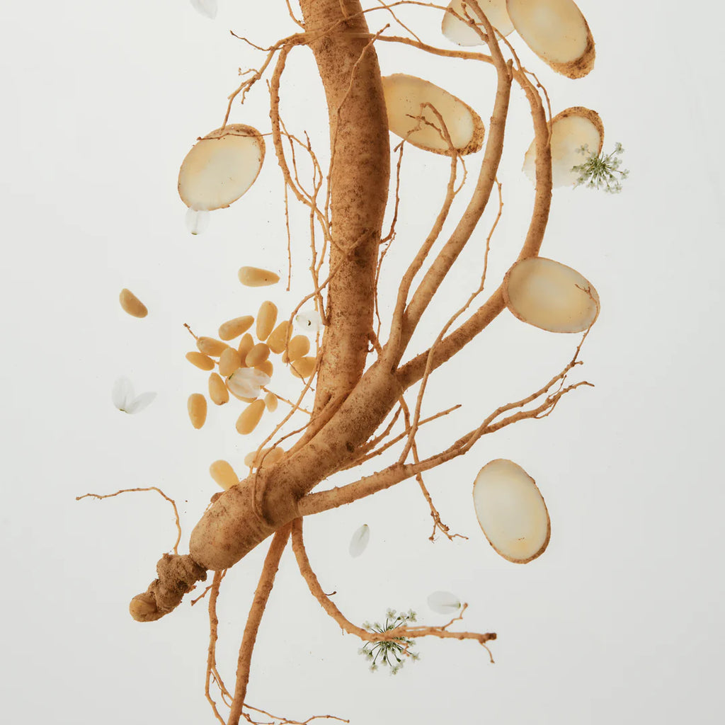 Revive Firming Moisturizer  Ginseng  Retinol